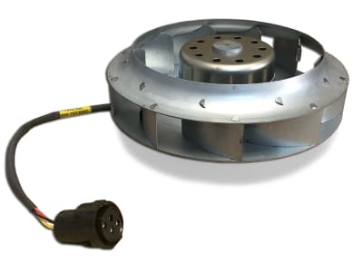 TAG CORDS TF-MC179-01A