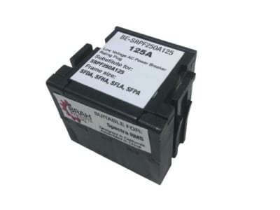 RADWELL RAD-RP-F250A125