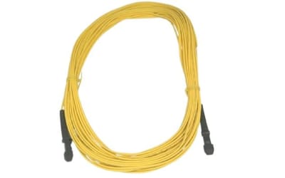 BLACK BOX CORP EFP310-010M-MTMT