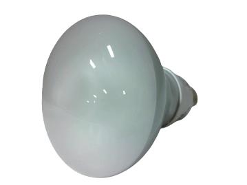 PHILIPS EL/A-R30-15W