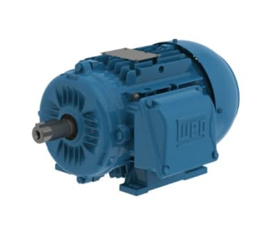 WEG 00318ET3EAL100L-W22