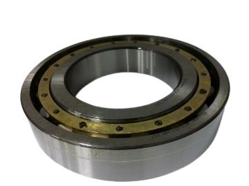 REGAL REXNORD MCS-221-106