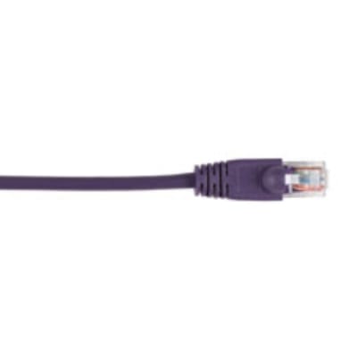 BLACK BOX CORP CAT5EPC-005-VT-25PAK
