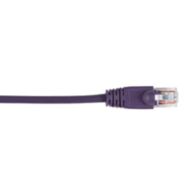 BLACK BOX CORP CAT5EPC-005-VT-10PAK