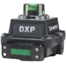 TOPWORX DXS-M21GNEB7A2