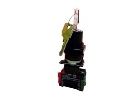 SCHNEIDER ELECTRIC 9001-D1L30-11