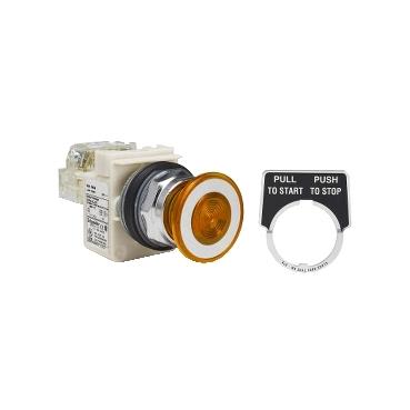 SCHNEIDER ELECTRIC 9001-KR9P35R