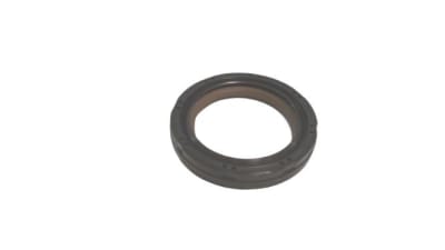 BRIGGS & STRATTON 770928