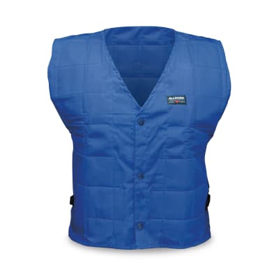 WALTER SURFACE TECHNOLOGIES 8401-03