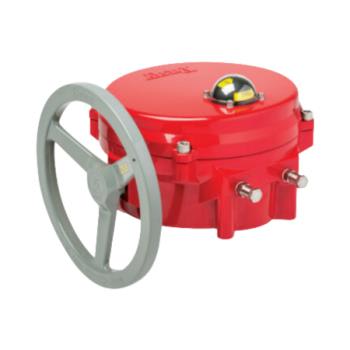 BRAY 70E301-113G0536/K