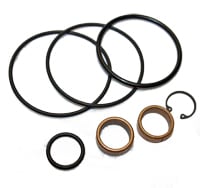 BIMBA TCSK-25-100-2S