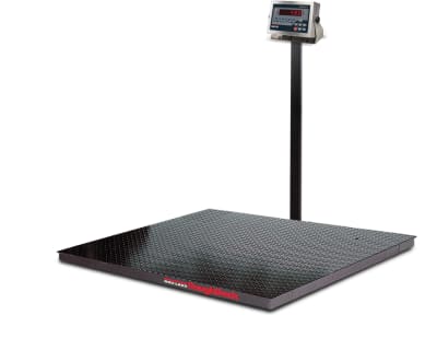 RICE LAKE 155669