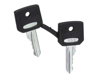 SCHNEIDER ELECTRIC ZBG455