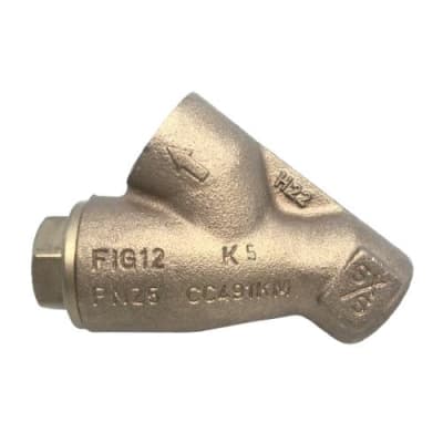 SPIRAX SARCO CC491KM