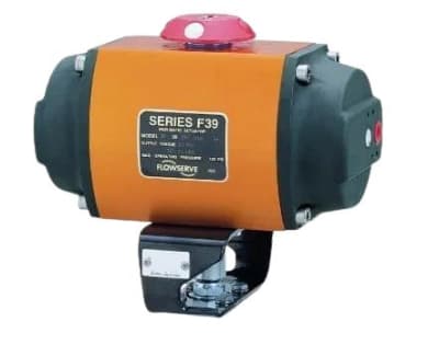 FLOWSERVE 20-39-SW-120A-R6