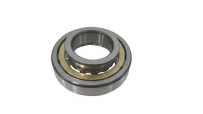 SCHAEFFLER GROUP NJ317-E-XL-M1