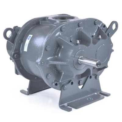 ROOTS 65109020 B-L-T-L