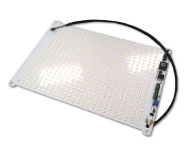 RADWELL RAD-NL2-LED