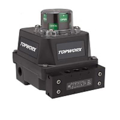 TOPWORX DXR-N224NPS00000N004