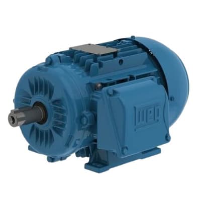 WEG 00318ET3WAL100L-W22