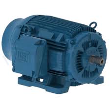 WEG 15036ET3G445TS-W22
