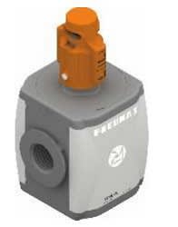 PNEUMAX N173BVL