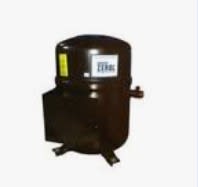 BRISTOL COMPRESSORS T81J384CBCA