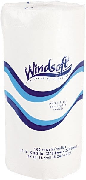 WINDSOFT WIN1220CT