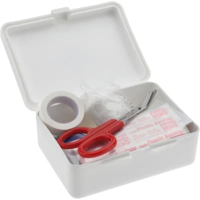 PRO SAFE INC 729P1PS