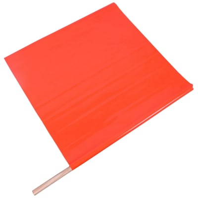 PRO SAFE INC DH-FLAG-24