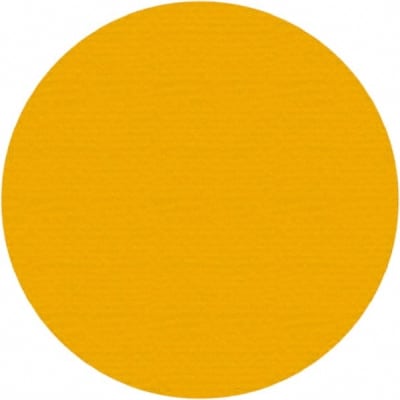 PRO SAFE INC 30-PRO-YDOT