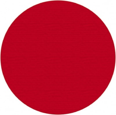 PRO SAFE INC 30-PRO-RDOT