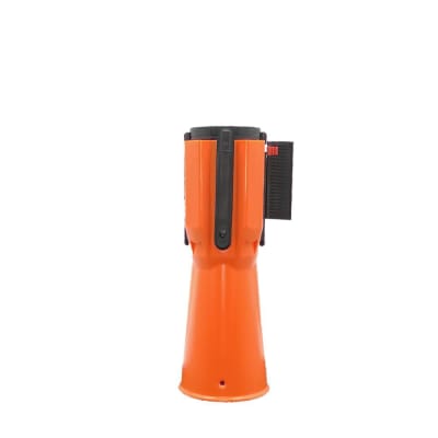 PRO SAFE INC BP-CC03