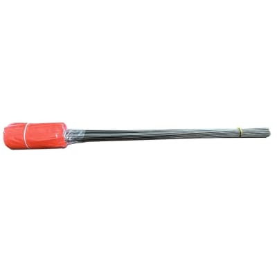 PRO SAFE INC FLAG-4521FLORG