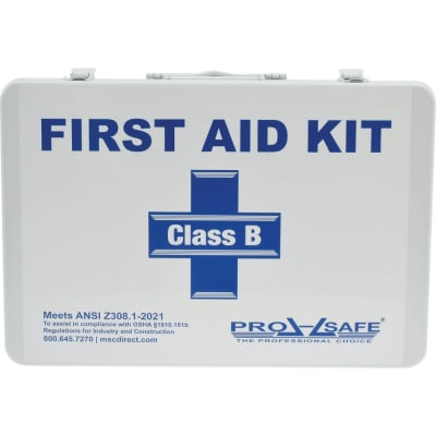 PRO SAFE INC PS887ANSI
