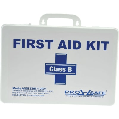PRO SAFE INC PS787ANSI