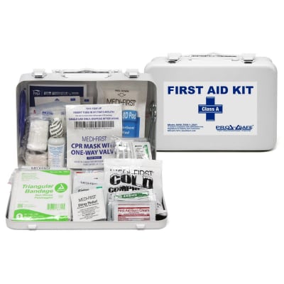 PRO SAFE INC PS821ANSI