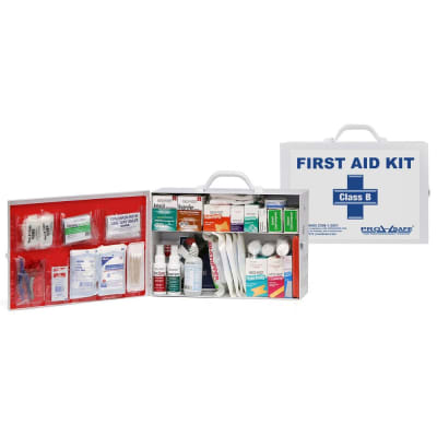PRO SAFE INC PS756ANSI