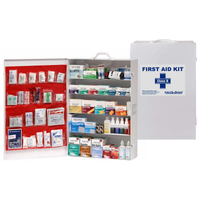 PRO SAFE INC PS738ANSI