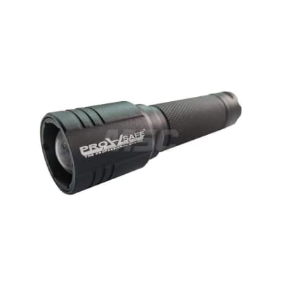 PRO SAFE INC E51F