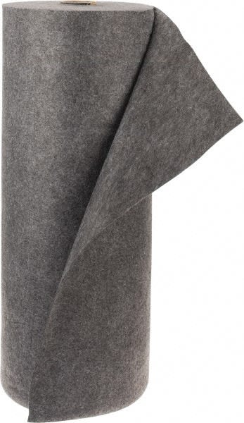 PRO SAFE INC IR150-FR