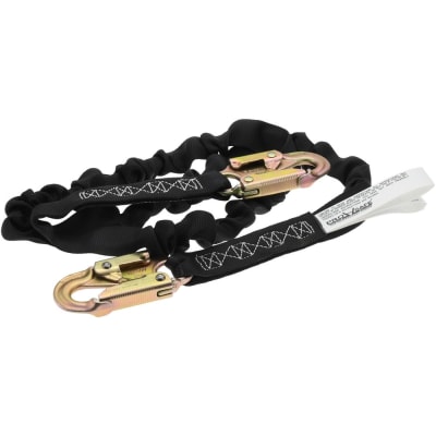 PRO SAFE INC PS-SA-LN1