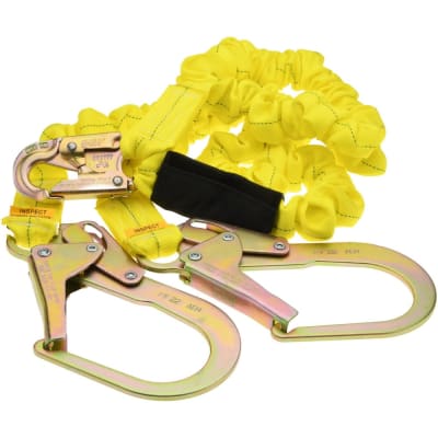 PRO SAFE INC PS-SA-LN20