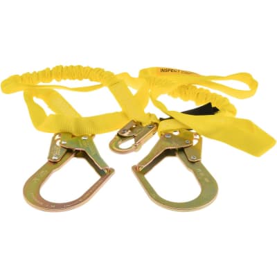 PRO SAFE INC PS-SA-LN17