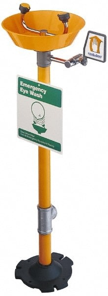 PRO SAFE INC PSG1825P