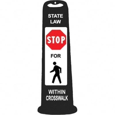 PRO SAFE INC 03-760BLKPX