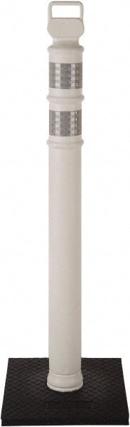 PRO SAFE INC 03-747W