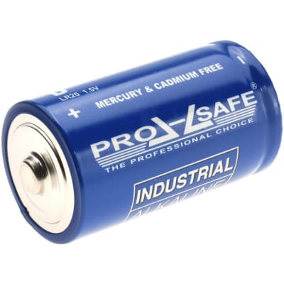 PRO SAFE INC BAT-LR20-12