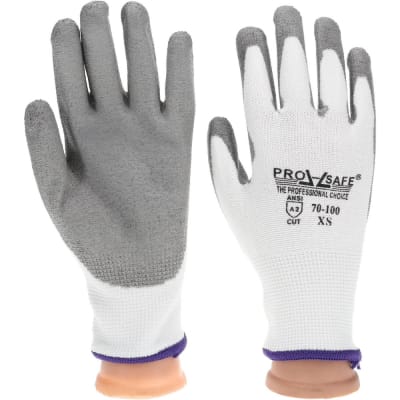 PRO SAFE INC 70-100-XS