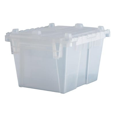 ORBIS CORP FP03 CLEAR